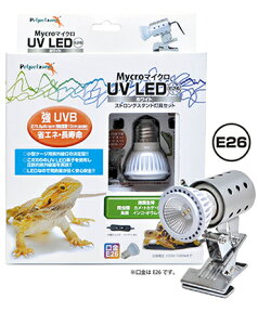 y[XCz}CNUV LED E26 zCg+ XgOX^hZbg Petpetzone