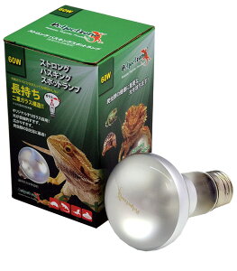 y[XCzXgOoXLOX|bgv 60Wy Petpetzonez