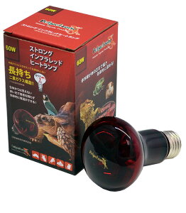 y[XCzXgOCtbhq[gv 20Wy Petpetzone ۉz