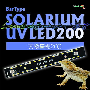 y[XCzo[^Cv\E UV LED 200 y Petpetzonez