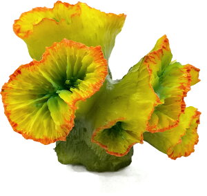 y[XCzvJTS S-4@REPLICA CORAL@ZEST