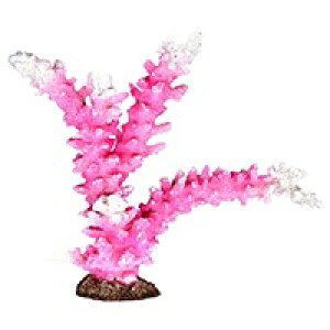 y[XCzvJTS M-9@REPLICA CORAL@ZEST