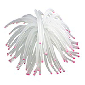 y[XCzvJTS M-12@REPLICA CORAL@ZEST