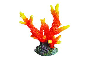 y[XCzvJTS M-3@REPLICA CORAL@ZEST
