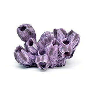 y[XCzvJTS M-5@REPLICA CORAL@ZEST