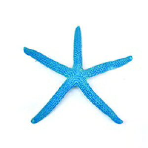 y[XCzvJTS M-6@REPLICA CORAL@ZEST