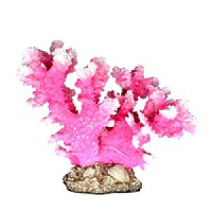 y[XCzvJTS M-7@REPLICA CORAL@ZEST