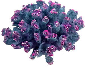 y[XCzvJTS M-1@REPLICA CORAL@ZEST