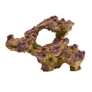 y[XCzvJTS L-2@REPLICA CORAL@ZEST