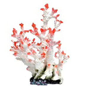 y[XCzvJTS L-4@REPLICA CORAL@ZEST