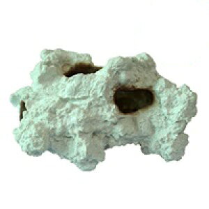 y[XCzvJTS L-6@REPLICA CORAL@ZEST