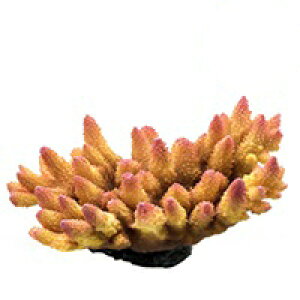 y[XCzvJTS L-8@REPLICA CORAL@ZEST