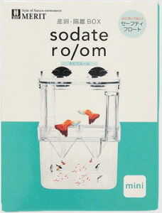  y}c_zsodate room mini@ă[ ~j MERIT Y u
