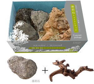 y\lP~t@zCAEgpbP[W n+cCXgEbh