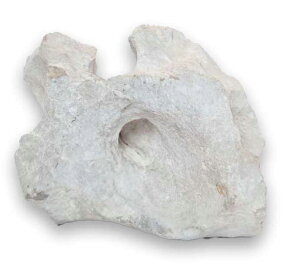 y\lP~t@zTS SS`S 10kg