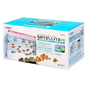 yXh[zTeCg L@S-5840@u