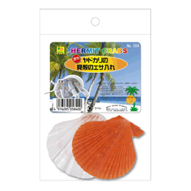 ○【三晃商会】オカヤドカリの貝殻のエサ入れ 584 サンコー