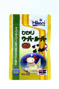 yL[zЂ E[p[[p[ 30gyt[h@ށ@C@I^}WNVz