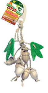 yOWzi`nK[ ǂ񂮂 A13 TR[