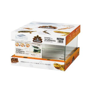 ���y�R�g�u�L�z�q���h���P�[�X3120 �z���C�g �y�P�[�W ���� KOTOBUKI HYDRA�z