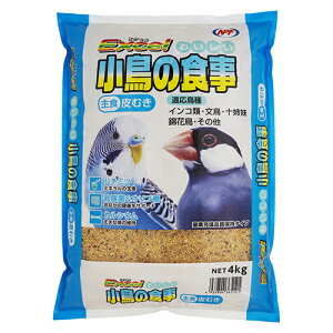 yNPF EXCELzGNZ ̐H ނ 3.6kg