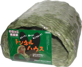 ○【カワイ】わらっこ倶楽部 トンネルハウス