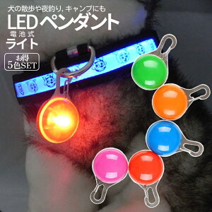 yXISi|Cg3{z L[z_[ Cg  LfBCg 5F Zbg LED dr U Cg `[ d  Jri   킢 Lv Cu RT[g