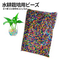 【スーパーSALE！全品ポイント5倍】 水耕栽培用 水で膨らむ ビーズ ぷよぷよボール 50000個入り クリスタ…