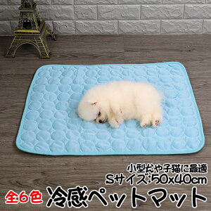 yX[p[SALEISi|Cg5{zy1000~ |bLz ⊴ }bg ybgp S6F bV STCY q CoolCore ʋC Q ϋv I[V[Y PERESHEET-S 10OF 