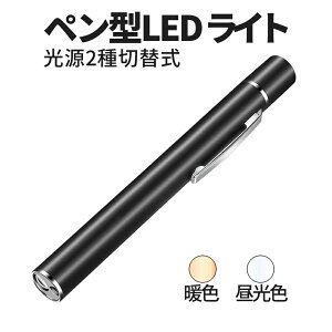 【本日終了!全品ポイント3倍】【1000円 ポッキリ】 ペンライト led 懐中電灯 ダブル光源 小型 ペン型ライト ハンディライト USB充電式 ミニ キャンプ アウトドア 防災 釣り ライト クリップ付
