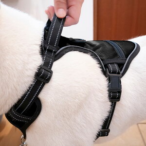 _11/14`16 P3{^ n[lX ^ ^ ^  |Pbg n[lX h~ bV   ȒP SȂ  ̃n[lX 킢 n[lX