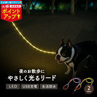 ＼マラソン大幅ポイントUP／光るリード 犬 LED 充電式 USB 1.5m 優しい光 眩しくない 防水 雨の日でも使…