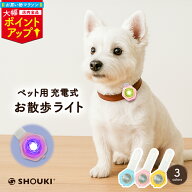 ＼マラソン大幅ポイントUP／【最大10%OFF】お散歩ライト セーフティライト led 散歩ライト LED USB 充電…