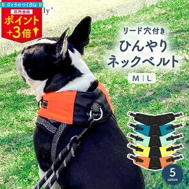 ＼0のつく日P3倍／クールネック リード穴付き 犬 夏 暑さ対策 ひんやり 保冷剤 犬用 熱中症 クールバンダナ ネッククーラー クールベルト 首ひんやり 冷感 冷却 首 冷やす つめたい スヌード 小型犬 中型犬 大型犬 犬散歩 犬お出かけ ひんやりタオル