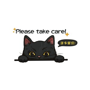 [Si|Cg10{X[p[SALE] fJlR  L XebJ[  L ԗp oCNp lR CXg Lƍl ˂XebJ[ ėp B CAT {fB KX ȒP\t DKNEKOST-L 