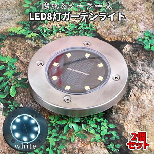 [Si|Cg10{X[p[SALE] LED K[f Cg 2 \[[  ZT[  Ɩ   _ ߍ h h Ő Xe[t  ZLeB[  K[fjO 2-LED8TOU TO