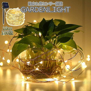 [X聚Si|Cg5{] K[f LED \[[ Cg C~l[V 10m 100  Ɩ [d d h ZT[ 8_ [h p[eB[ NX}X   IV GOKUTUBU 