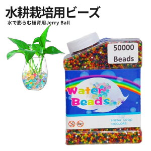 [Si|Cg10{}\J] k͔|p Ŗc r[Y ՂՂ{[ 50000 NX^{[ EH[^[r[Y ėp\ JtWF[{[ ԕrtB[ nCh