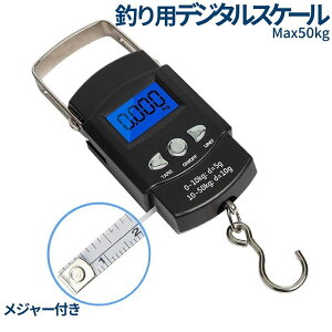 [Si|Cg10{] fW^ XP[ ݂艺 ͂ 50kg  d v v dr W[  1m obNCg tBbVO s ו QbW d ނ y GYOJYURYO  PT