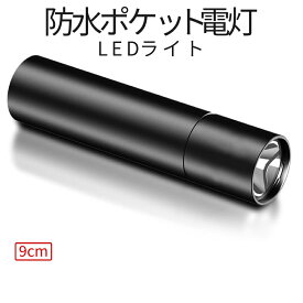 ポケット LED ミニ ライト 9cm 懐中電灯 明るさ 調節 可能 防水 USB 充電 電灯 アウトドア キャンプ 夜釣り 災害 防災 明るい 持ち運び 簡単 車 万能 POKERAIKO 送料無料 PT