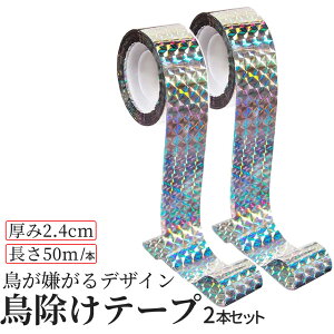 [Si|Cg10{}\J] 悯 e[v 50m 2{ Zbg \邾 ȒP  JX 炷    Q ΍ 쏜    h ObY ݂   K[f  ƒ ؉ 