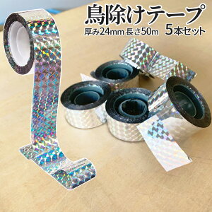 [X聚Si|Cg5{] 悯 e[v 50m 5{ Zbg \邾 ȒP  JX 炷    Q ΍ 쏜    h ObY ݂   K[f  ƒ ؉ ʕ 