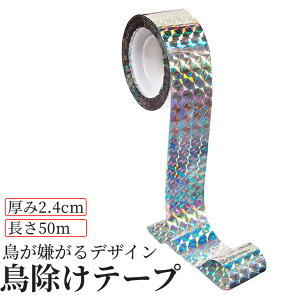 [X聚Si|Cg5{] 悯 e[v 50m \邾 ȒP  JX 炷    Q ΍ 쏜    h ObY ݂   K[f  ƒ ؉ ʕ  x