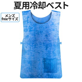 [お盆も発送★全品ポイント5倍] 冷冷却 ベスト クール 冷感 熱中症 猛暑 暑さ 対策 冷却服 夏用 作業着 ひんやり グッズ 保冷 工事 現場 DIY 工場内 屋外 手洗い 可能 電源 不要 ツーリング ランニング スポーツ AOSYA 送料無料 PT
