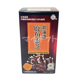 ɒi kC p 120 kCYL@͔|