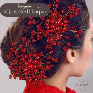 肩񂴂  wAANZT[ ԉŃwANE  uC_  ^ i Mtg l Ǝ p[eB[ yʐ݌v