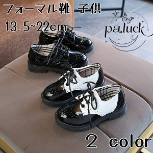 LbY C tH[}V[Y ̎q q 13.5~22cm ubN zCg  킢 LbYCMX p WjA [t@[ vC   ʊw ܎O Ǝ w