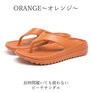 r[`T_  Ȃ ɂȂ @  fB[X Y gOT_ Jo[T_  O i