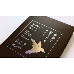 あまつぶゲームズ  虚飾で彩られたカラス 推理 2人用 会話 ボードゲーム ボドゲ 楽天 楽天市場