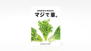 MONT マジで草。 ボードゲーム ボドゲ メディアで紹介されました 草の神経衰弱 ボドゲ 子供 小学生 絵合わせ カード ゲーム 神経衰弱 カードゲーム 室内 楽しい 簡単 記憶力 神経 衰弱 ゲーム